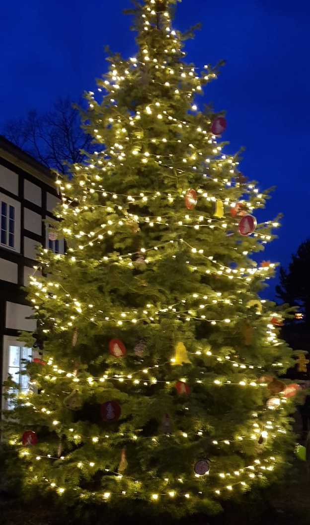 Der geschmückte Weihnachtsbaum vor dem Haus Kulick